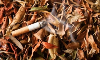 Tác nhân gây ô nhiễm môi trường