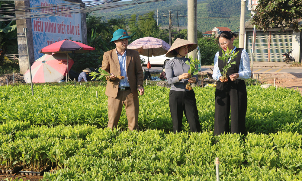 Đảng bộ xã Yên Định: Tạo bứt phá trong phát triển kinh tế - xã hội
