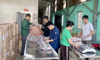 Bắc Ninh: Đổi mới công tác quản trị hợp tác xã