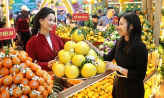 Lễ hội trái cây Bắc Ninh 2025: Gắn kết nông nghiệp với dịch vụ, du lịch
