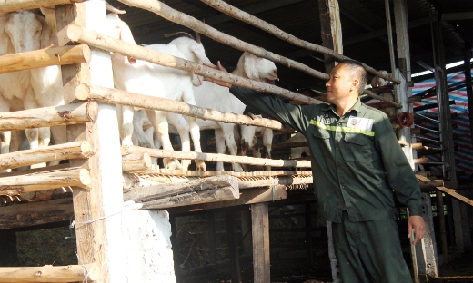 “Trái ngọt” từ giảm nghèo