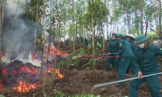 Giữ rừng mùa khô -Trách nhiệm từ cơ sở