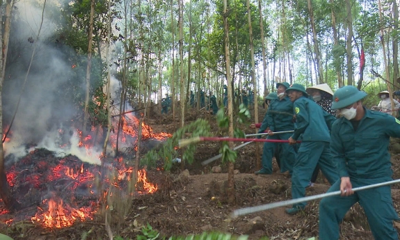 Giữ rừng mùa khô -Trách nhiệm từ cơ sở