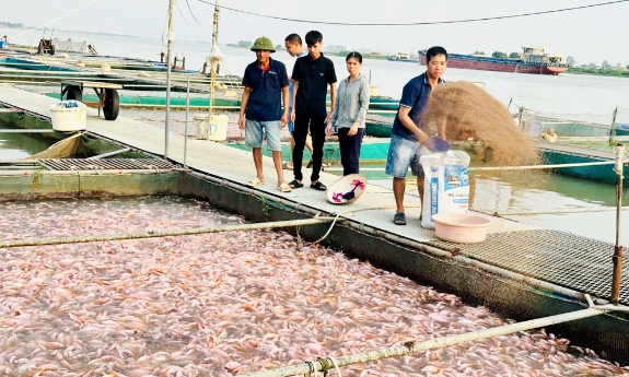 Hợp tác xã Nông nghiệp và dịch vụ tổng hợp nuôi trồng thủy sản Chiến Thắng: "Ngôi sao" của kinh tế tập thể