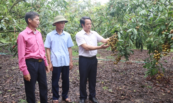 Quy định hỗ trợ về phát triển nông nghiệp, ngành nghề nông thôn trên địa bàn tỉnh Bắc Ninh giai đoạn 2026-2030