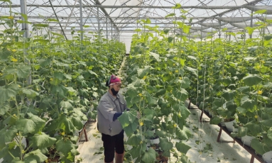  Bắc Ninh: Chuyển đổi hơn 477 ha đất trồng lúa kém hiệu quả