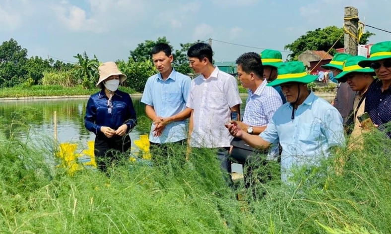  Bắc Ninh: Phát triển mô hình chi, tổ hội nông dân nghề nghiệp