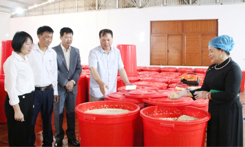  Xã Sơn Động: Nâng chất lượng sản phẩm OCOP