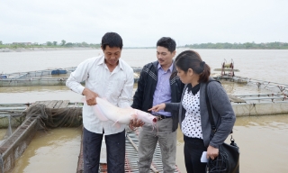 Bắc Ninh: Thủy sản giữ vững đà tăng trưởng