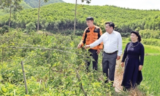 Chính sách an sinh xã hội: Nền tảng để phát triển bền vững