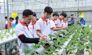 Phong trào "Sinh viên 5 tốt": Hành trang trên con đường lập thân, lập nghiệp của sinh viên