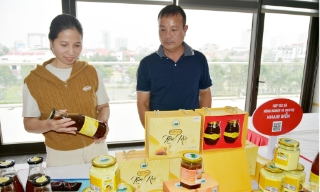 Bắc Ninh: Thúc đẩy khởi nghiệp sáng tạo trong các hợp tác xã