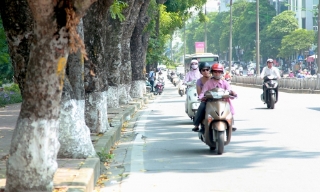 Thời tiết Bắc Ninh đêm 14, ngày 15/1: Nhiệt độ cao nhất 24 độ