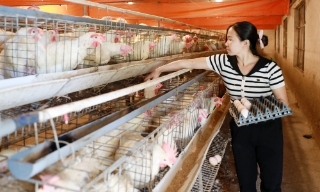 Giai đoạn 2026-2030, tỉnh Bắc Ninh còn hơn 7,7 nghìn hộ nghèo 