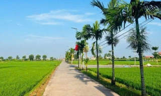 Lạng Giang: Xây dựng môi trường sáng - xanh - sạch