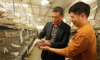  Hợp Thịnh: Ưu tiên phát triển kinh tế tư nhân lĩnh vực nông nghiệp