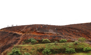 Bắc Ninh: Hỗ trợ gạo cho hộ gia đình nghèo, đồng bào dân tộc thiểu số trồng, bảo vệ rừng 