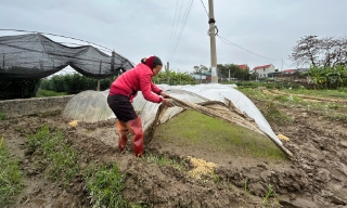 Bắc Ninh: Chủ động phòng, chống rét đậm, rét hại bảo vệ cây trồng, vật nuôi
