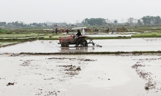 Sở Nông nghiệp và Môi trường Bắc Ninh: Tăng cường chỉ đạo sản xuất vụ Xuân 2026