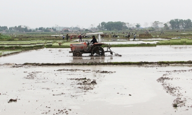  Sở Nông nghiệp và Môi trường Bắc Ninh: Tăng cường chỉ đạo sản xuất vụ Xuân 2026
