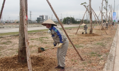  Bắc Ninh phát động “Tết trồng cây đời đời nhớ ơn Bác Hồ” nhân dịp Xuân Bính Ngọ năm 2026