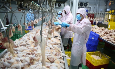  Bắc Ninh: Bảo đảm nguồn thực phẩm an toàn dịp Tết  