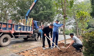 Tết trồng cây: Lan tỏa khí thế thi đua lao động