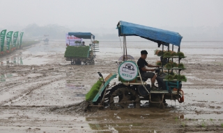Bám sát khung thời vụ, nâng hiệu quả vụ xuân