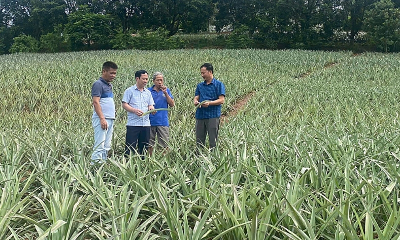  "Đòn bẩy" đưa kinh tế tập thể bứt phá