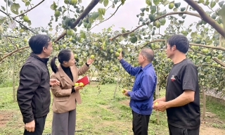 Xã An Lạc: Tạo sinh kế, khơi dậy ý chí thoát nghèo 