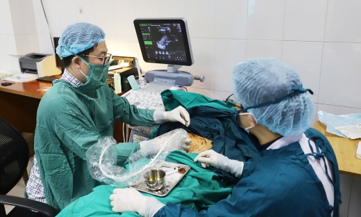 Khám sức khỏe tiền hôn nhân: Chủ động phòng ngừa bệnh di truyền 