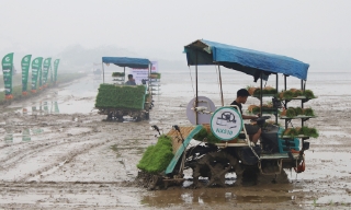 Đồng Nguyên đẩy mạnh cơ giới hóa trong sản xuất lúa