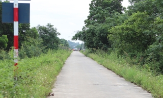 Bắc Ninh: Tập trung xử lý tình trạng xe quá tải lưu thông trên các tuyến đê 