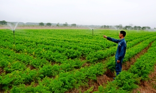  Ứng dụng công nghệ cao, nâng giá trị sản xuất nông nghiệp