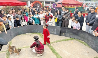 Thú chơi xuân giữ hồn văn hóa