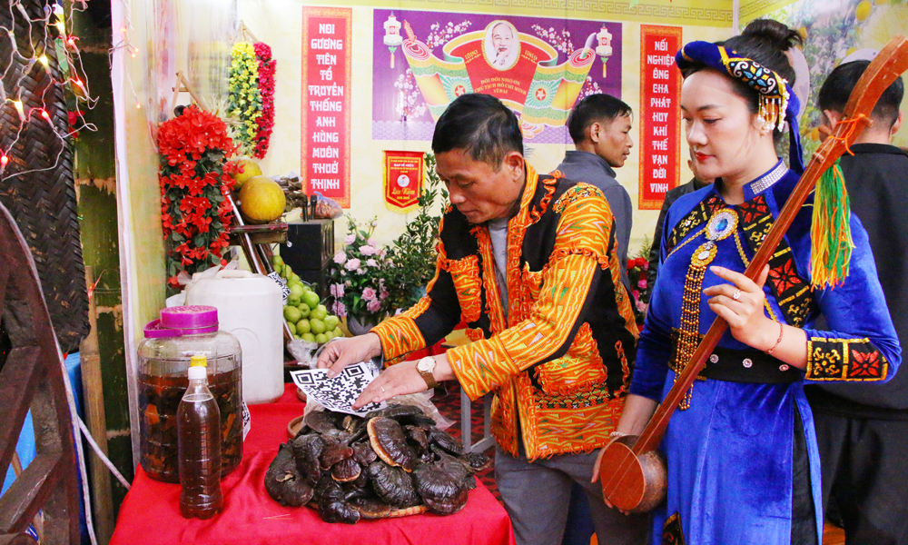 Động lực mới cho kinh tế vùng cao