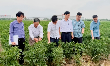  Bắc Ninh: Chuyển giao công nghệ, tiếp sức cho nhà nông  