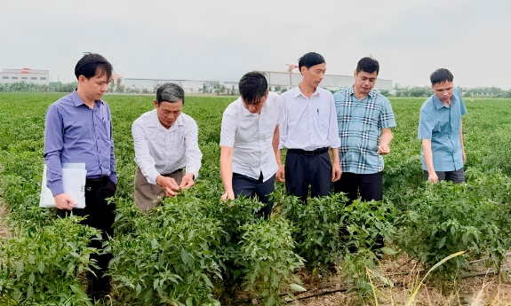 Bắc Ninh: Chuyển giao công nghệ, tiếp sức cho nhà nông  