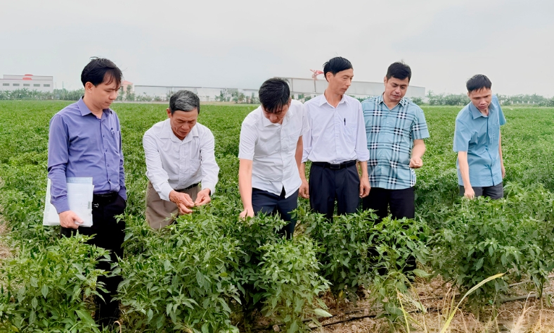  Bắc Ninh: Chuyển giao công nghệ, tiếp sức cho nhà nông  