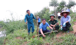 Bắc Ninh: Huy động xã hội hóa trồng rừng, giảm nguồn vốn ngân sách