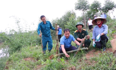  Bắc Ninh: Huy động xã hội hóa trồng rừng, giảm nguồn vốn ngân sách