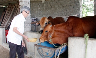 Trao sinh kế mở lối thoát nghèo