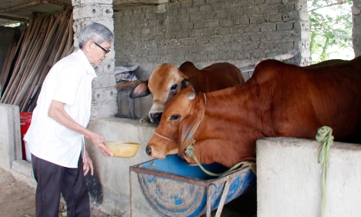Trao sinh kế mở lối thoát nghèo