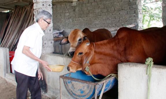 Trao sinh kế mở lối thoát nghèo