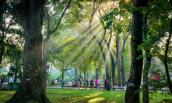 Thời tiết Bắc Ninh đêm 11, ngày 12/4: Nhiệt độ cao nhất 36 độ