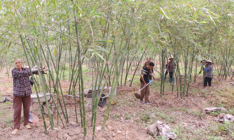  Bắc Ninh: Giá vật tư tăng cao, nông dân chủ động thích ứng