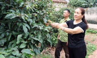 Gương mẫu, trách nhiệm với việc thôn