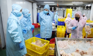 Bắc Ninh: Quản chặt cơ sở buôn bán, giết mổ động vật