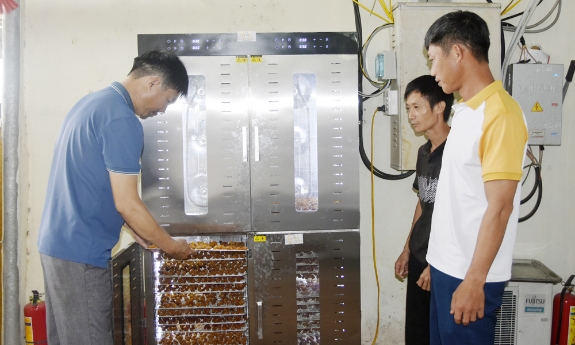 Sức hút từ các câu lạc bộ hợp tác xã