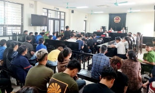 Trẻ hóa tội phạm, hậu họa khôn lường